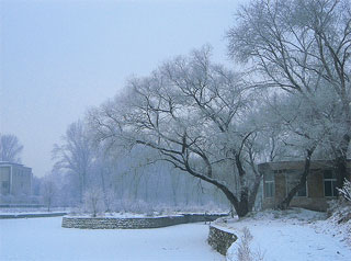 changchun_winterjpg